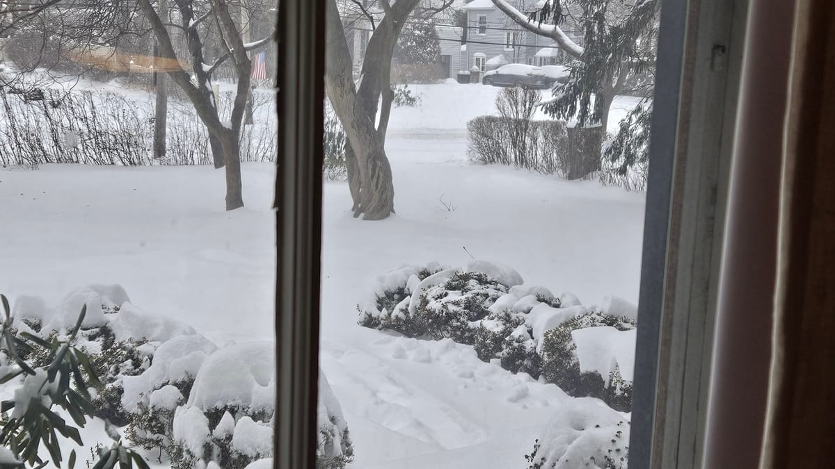 Words in Edgewise News Roundup - January 25, 2026