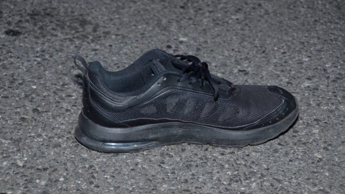 Sunday Briefing: Sustainable Westchester’s Future, Face-Slashing Arrest, Fatal Crash