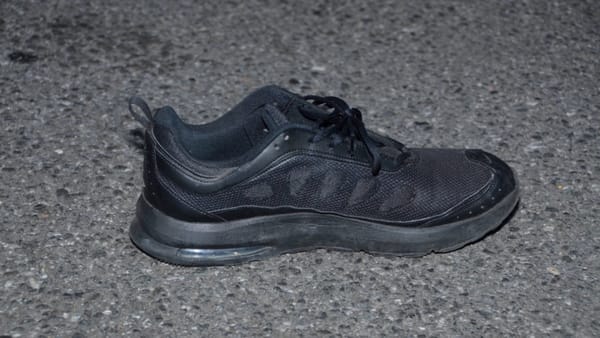 Sunday Briefing: Sustainable Westchester’s Future, Face-Slashing Arrest, Fatal Crash