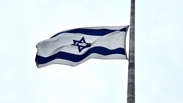 New Rochelle DRAFT of Flag Policy made public